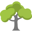 Venice Tree Removal